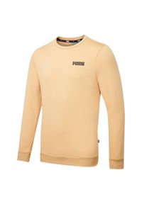 Bluza dresowa męska Puma ESS FL. Kolor: brązowy. Materiał: dresówka #1