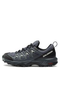 salomon - Salomon Trekkingi X Braze GORE-TEX L47180800 Niebieski. Kolor: niebieski #4