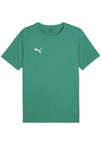 Puma - Męska Koszulka Meczowa TeamRise. Kolor: zielony. Sport: turystyka piesza