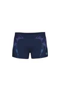Kąpielówki Arena Spider Web. Kolor: niebieski #1