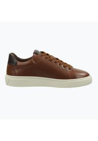 Buty męskie GANT Mc Julien. Kolor: brązowy