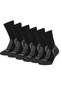 XTREME SOCKSWEAR - Skarpety turystyczne dla dorosłych Xtreme Wełna Merino, 6 szt. Kolor: czarny. Materiał: wełna. Sport: turystyka piesza