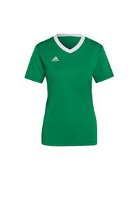Koszulka piłkarska damska Adidas Entrada 22 Jersey. Kolor: zielony, biały, wielokolorowy. Materiał: jersey. Sport: piłka nożna