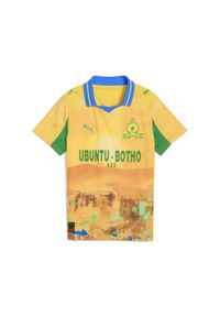 Puma - Młodzieżowa koszulka KIDSUPER × MAMELODI SUNDOWNS PUMA Pelé Yellow Fast Green. Kolor: zielony, wielokolorowy, żółty. Sport: piłka nożna