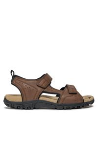 Geox Sandały Uomo Sandal Strada U4524B 000ME C6006 Brązowy. Kolor: brązowy