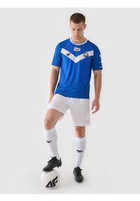 4f - 4F Koszulka klubowa domowa z sezonu 2024/25 męska 4F x Stal Mielec - multikolor S. Okazja: do domu. Kolor: wielokolorowy. Materiał: dzianina