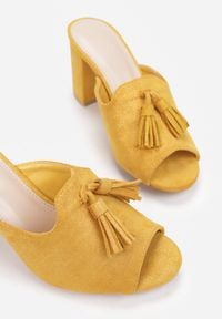 Born2be - Żółte Klapki Haseisa. Nosek buta: okrągły. Kolor: żółty. Materiał: jeans, len. Wzór: aplikacja, gładki. Obcas: na słupku #6