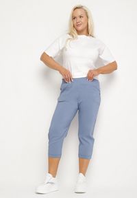 Born2be - Niebieskie Spodnie z Wiskozą Ozdobione Kieszeniami Liranta. Okazja: na co dzień. Kolor: niebieski. Materiał: wiskoza. Wzór: aplikacja. Styl: klasyczny, casual #5