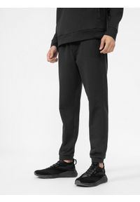 4f - Spodnie dresowe joggery męskie. Kolor: szary. Materiał: dresówka #2