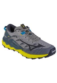Buty do biegania męskie, Mizuno Wave Daichi 7. Kolor: wielokolorowy, szary. Materiał: guma, materiał, tkanina, syntetyk. Model: Mizuno Wave