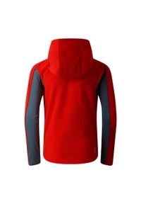 DARE 2B - Kurtka Dziecięca Thriving IV Fleece Jacket. Kolor: czerwony. Sezon: zima. Sport: narciarstwo