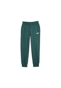 Spodnie Dresowe Sportowe Damskie Puma Ess Fl. Kolor: zielony. Materiał: dresówka