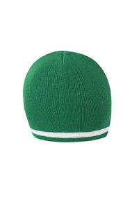 RESULT WINTER ESSENTIALS - Czapka Unisex Dla Dorosłych. Kolor: biały, wielokolorowy, zielony