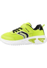 Tenisówki Geox Model J Assister Boy Kolor Zielony. Kolor: zielony. Materiał: tkanina. Sport: turystyka piesza