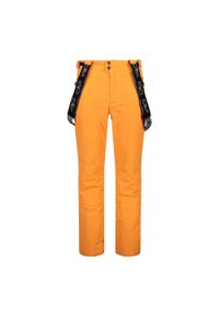 Spodnie narciarskie męskie CMP. Kolor: wielokolorowy, żółty, pomarańczowy. Sezon: zima. Sport: narciarstwo #1