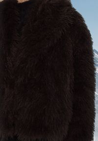 Born2be - Brązowa Kurtka Futrzana o Krótkim Kroju z Szerokim Kołnierzem Riveti. Okazja: na co dzień. Kolor: brązowy. Materiał: futro. Długość: krótkie. Sezon: zima. Styl: casual, elegancki #4