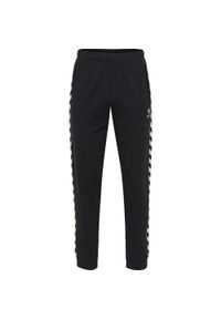 Spodnie Hummel Lmove Classics. Kolor: czarny. Sport: fitness