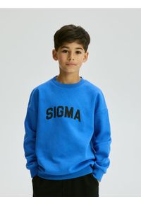 Reserved - Bluza z nadrukiem - niebieski. Kolor: niebieski. Materiał: dzianina, bawełna. Wzór: nadruk #1