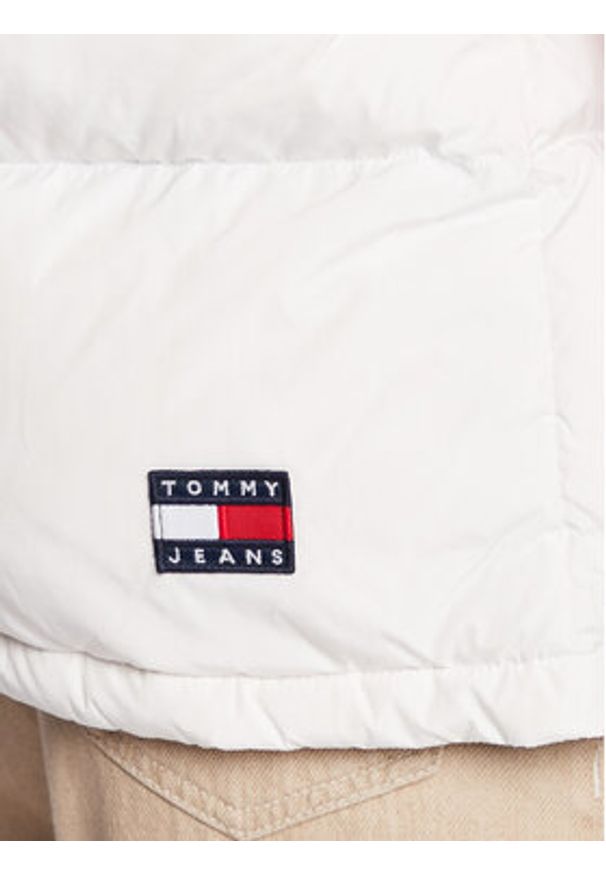 Tommy Jeans Kurtka puchowa Alaska DW0DW14288 Kolorowy Regular Fit. Materiał: syntetyk, puch. Wzór: kolorowy