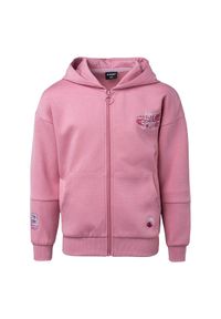 Hi-tec - Bluza Dziecięca Pear Full Zip Hoodie. Kolor: różowy. Sport: turystyka piesza