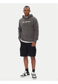 DC Shoes Bluza ADYSF03145 Szary Regular Fit. Kolor: szary. Materiał: bawełna #5