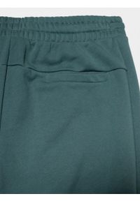 outhorn - Spodnie dresowe męskie - oliwkowe. Kolor: oliwkowy. Materiał: dresówka #6
