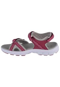 CMP - Sandały damskie, Almaak Hiking Sandal. Kolor: biały, fioletowy, wielokolorowy. Materiał: guma, syntetyk, tkanina, materiał