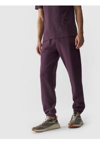 4f - Spodnie dresowe joggery męskie - fioletowe. Kolor: fioletowy. Materiał: dresówka. Wzór: napisy