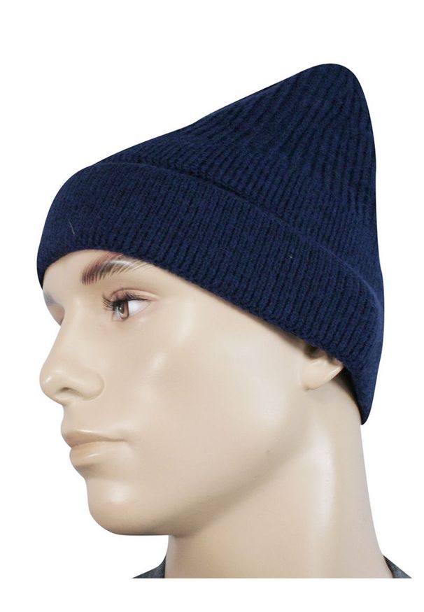 Niebieska czapka Pako Jeans na zimę, klasyczna
