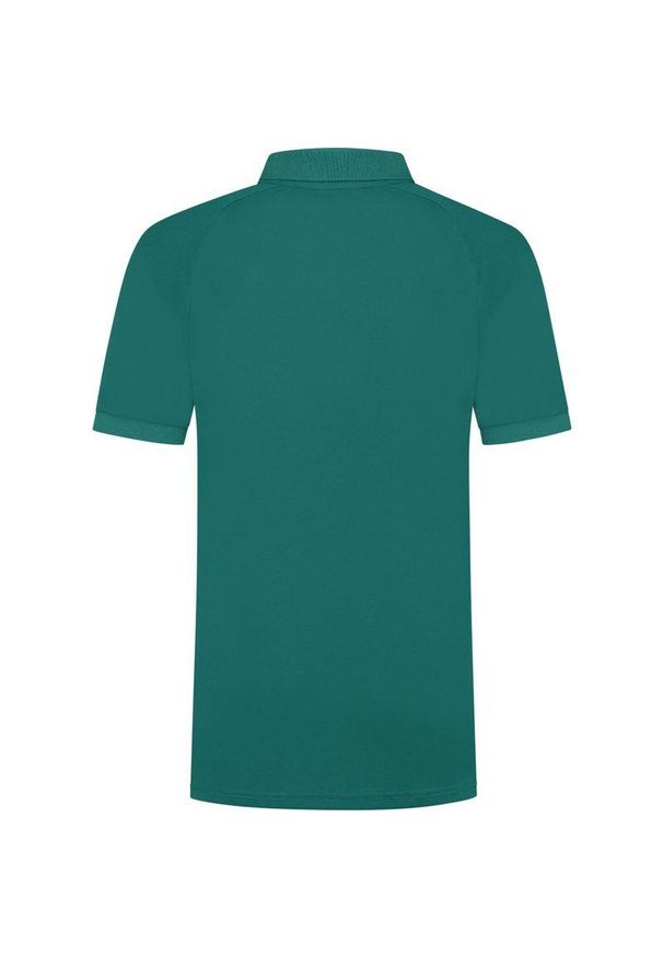 DUNLOP - Koszulka tenisowa męska Dunlop Club Polo z kołnierzykiem. Typ kołnierza: polo. Kolor: zielony. Sport: tenis