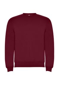 ROLY - Bluza Dziecięca Clasica Z Okrągłym Dekoltem. Kolor: czerwony