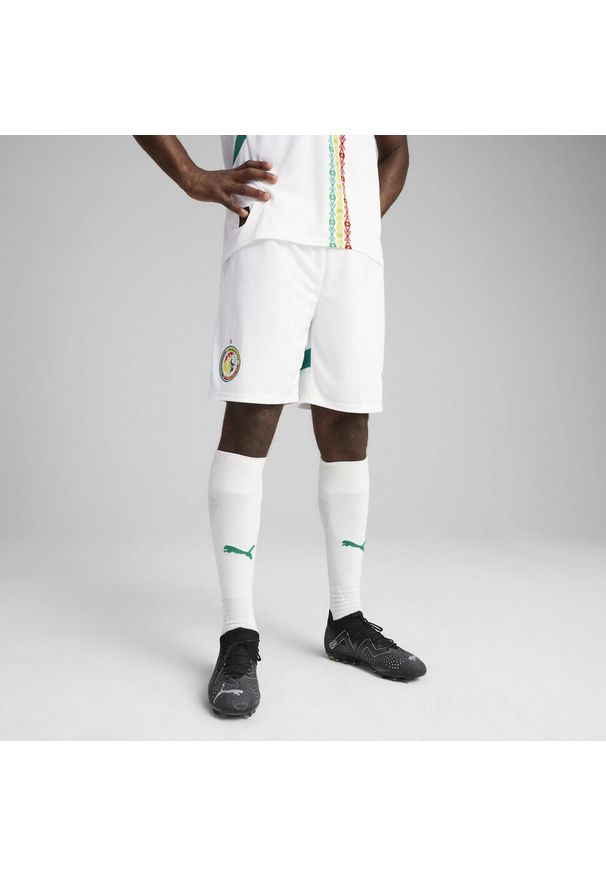 Puma - Męskie szorty Senegal 2025 PUMA White Sport Green. Kolor: zielony, biały, wielokolorowy. Wzór: aplikacja. Sport: piłka nożna