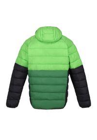 Regatta - Męska Kurtka Harrock II Baffled Padded Jacket. Kolor: zielony