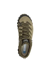 Buty trekkingowe męskie Aku Alterra Lite Mid Gtx. Kolor: wielokolorowy, zielony. Materiał: zamsz, materiał, syntetyk. Szerokość cholewki: normalna