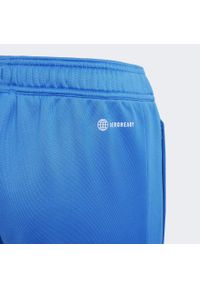 Adidas - Spodnie dresowe dla dzieci Bayern Munich Condivo 2022/23. Kolor: niebieski. Materiał: dresówka. Sport: piłka nożna