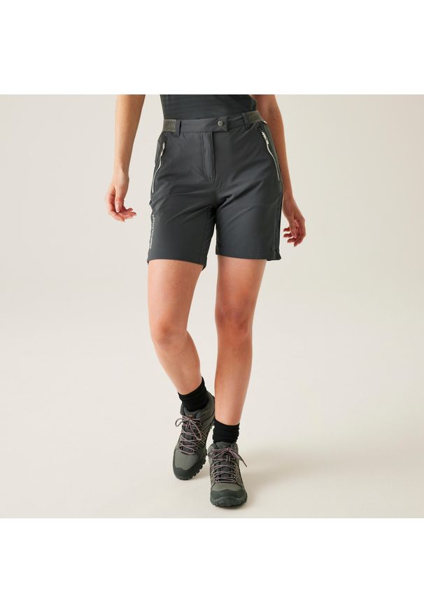 Regatta - Chaska II damskie spodenki trekkingowe. Kolor: szary. Materiał: poliamid. Sport: turystyka piesza