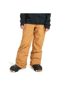 Quiksilver - Spodnie do sportów zimowych techniczne dla Chłopców ESTATE. Kolor: brązowy. Materiał: poliester, materiał. Sezon: zima. Sport: narciarstwo #1