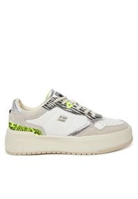 Sneakersy D.Franklin. Wzór: kolorowy