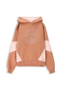 Lemon Explore - Bluza sportowa dla dzieci Lemon Exlopre ZL3 z kapturem. Typ kołnierza: kaptur. Kolor: wielokolorowy. Materiał: bawełna