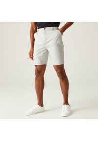 Regatta - Męskie spodenki Dalry Multi Pocket. Kolor: szary. Materiał: tkanina. Sport: turystyka piesza #1