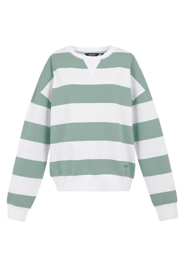 Regatta - Damski Sweter Z Dekoltem W Szpic Avika II Stripe. Kolor: biały, niebieski, wielokolorowy