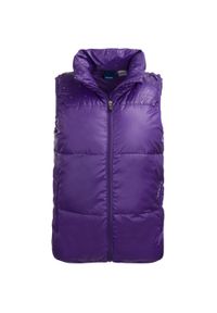 Damska kamizelka Reebok pikowana, fioletowa XS. Kolor: fioletowy. Materiał: puch. Długość rękawa: bez rękawów #1