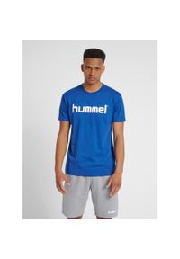 Koszulka sportowa z krótkim rękawem męska Hummel Cotton Logo. Kolor: niebieski. Długość rękawa: krótki rękaw. Długość: krótkie