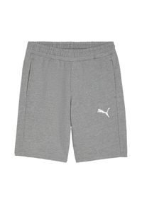 Puma - Casualowe Shorty Męskie Team Goal. Kolor: szary. Sport: turystyka piesza