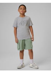 4f - 4F T-shirt z nadrukiem chłopięcy - szary 152 (11-12 lat). Okazja: na co dzień. Kolor: szary. Materiał: dzianina, materiał, bawełna, wiskoza, jersey. Wzór: nadruk. Sezon: lato. Styl: casual, klasyczny, sportowy #2