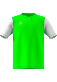 Adidas - Koszulka piłkarska dla dzieci adidas Estro 19 Jersey JUNIOR. Kolor: wielokolorowy, zielony, biały. Materiał: jersey. Sport: piłka nożna