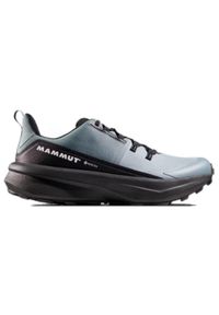 Buty turystyczne niskie Mammut Aenergy Hike Low GTX. Kolor: szary