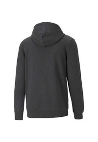 Bluza z kapturem Puma Essentials Big Logo, Mężczyźni. Typ kołnierza: kaptur. Kolor: szary. Materiał: bawełna, materiał