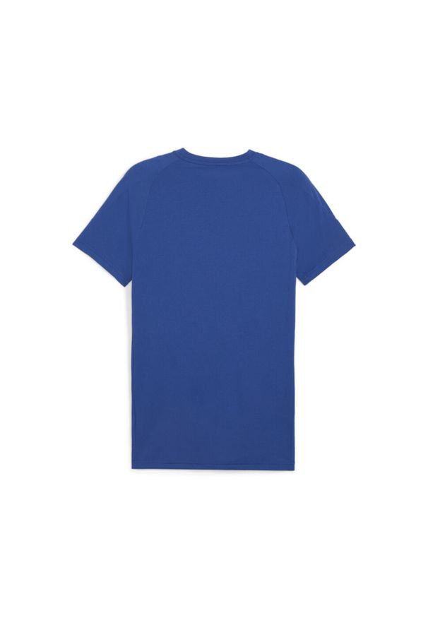 Puma - Męska koszulka Evostripe PUMA Cobalt Glaze Blue. Kolor: wielokolorowy, niebieski, szary