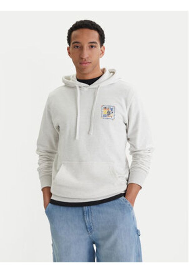 Billabong Bluza Foundation Po EBYSF00169 Szary Regular Fit. Kolor: szary. Materiał: bawełna